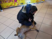 Téléthon RVVS, étape 5 - Vert