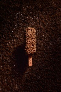 CODA-BERLIN_photo-claudia-goedke_menu_caviar-popsicle