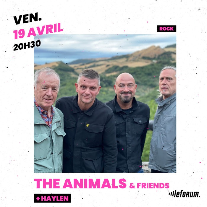 The animals & friends + Haylen en concert au Forum de Vauréal le 19/04/2024