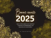 L'équipe de RVVS vous souhaite une bonne année 2025 !