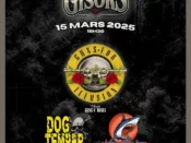 "Rock in Gisors", festival à Gisors (27) le 15/03/2025