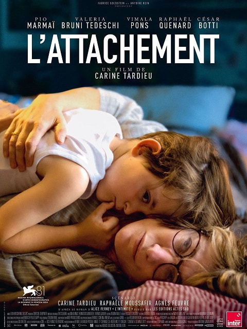 Ciné de la Barbacane, prog de janvier 2022