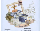 Brocante à Mézières-sur-Seine (78) le 29/06/2025