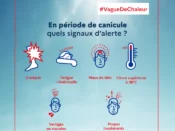 Les signaux d'alerte en cas de vague de chaleur