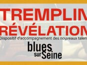 Appel à candidature Tremplin révélation Blues sur Seine 2025, date limite de dépôt le 25/07/2025