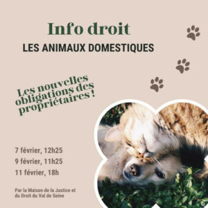 Les animaux domestiques et les nouvelles obligations de leurs propriétaires dans "Info droit" de février 2026